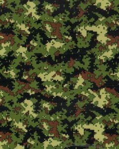 HP- G 36