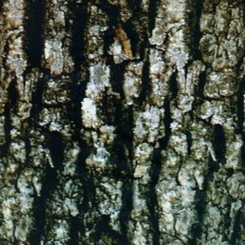 HP- G 4851 — φιλμ υδροβαφής Camouflage