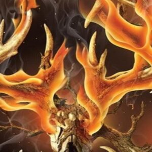 LEGENDS BLAZE – BONEYARD