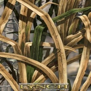 MIGRATION 2 by LYNCH
